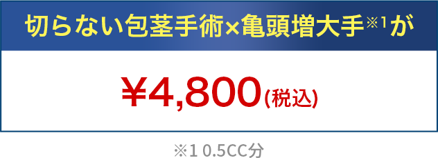 90,000円クーポンプレゼント中！